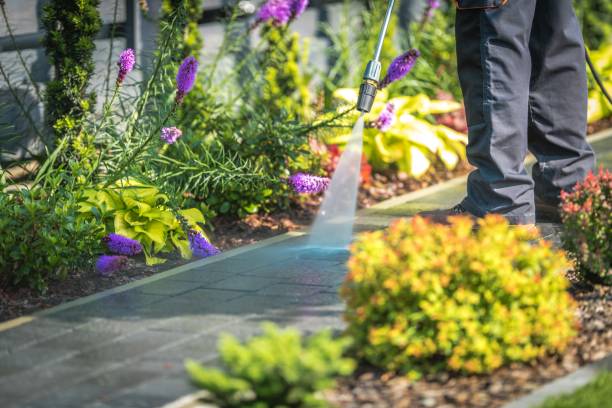 Best Animal Enclosure Cleaning  in Treasure Island, FL